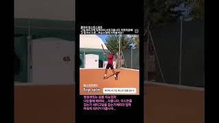 정점에 공을치는것과 정점에서 다운될때치는것과의 차이는 그립입니다. #테니스 #tennis #coach #코치 #포핸드 #디엘테니스아카데미