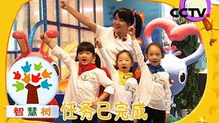 《智慧树》 20180126 宝贝2+1：海洋球欢乐大搜索 | CCTV少儿