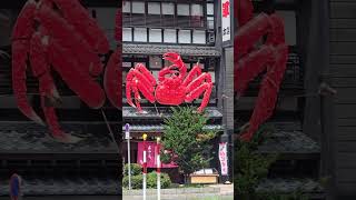 King Crab #Hokkaido #Japan