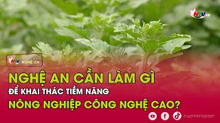 Nghệ An cần làm gì để khai thác tiềm năng nông nghiệp công nghệ cao?