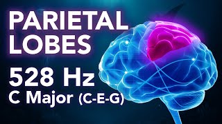 Parietal Lobes Healing | 528Hz Frequency & C Major Chords | Deep Sea Series