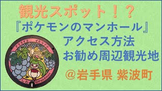 【ポケふた】岩手県紫波町のポケふたの種類とアクセス【イシツブテ・アママイコ】