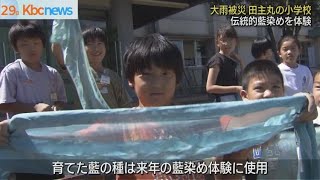 久留米市・竹野小学校で藍染め体験