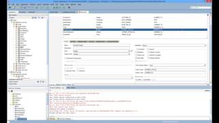 3-Default Values for Attributes in Entity Objects