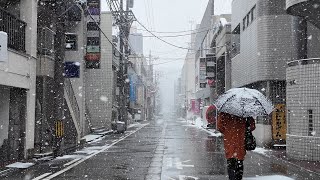 雪の富山 散歩【4K】