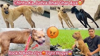 Chintu Ka Judva Bhai Ghar Aya🥺😍|| Rock N Chintu K Dushmano Par Attack Kar Diya😡