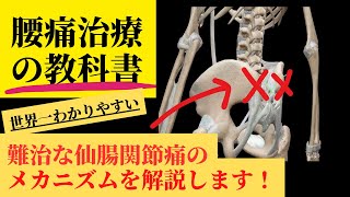 難治な仙腸関節痛のメカニズムを徹底解説します！