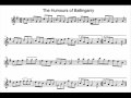 Humours of Ballingarry.wmv