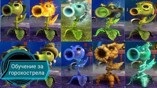 Обучение игры за горохострела в PVZ GW 2. все горохострелы