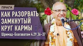 2023.06.15 - ШБ 4.29.36-37. Как разорвать замкнутый круг кармы (Прага) - Бхакти Вигьяна Госвами