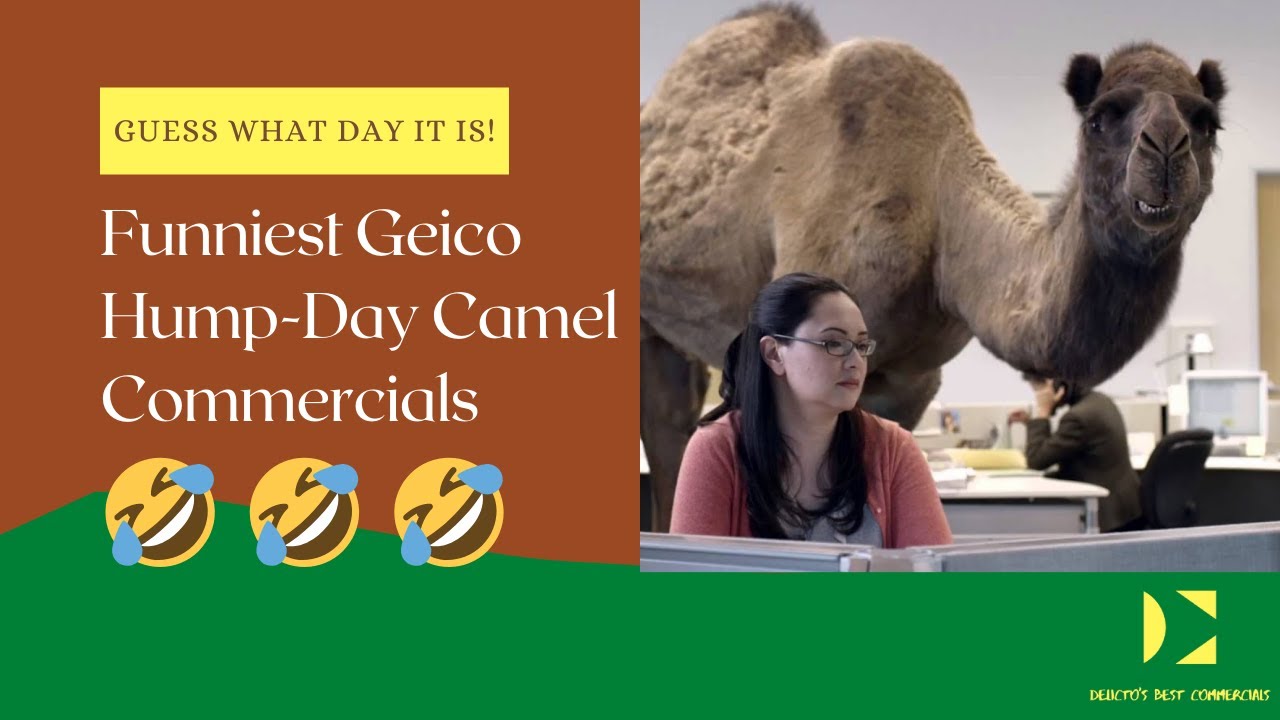 Geico Camel Hump Day