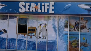 Sea life Aquarium in Sydney Australia | Summer vacations | Fun Time  @Salehsfamily123