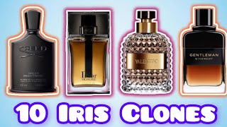 Best 10 Iris, Powdery Fragrances and Thier Dupes/Clone