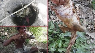Primitive Technology, Making traditional trap skills for catching wild chicken cook with large ant