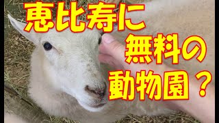 恵比寿に無料動物園？恵比寿に行ったら寄るべき癒しスポット！