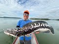 Stalking Fries Ball Mama Toman Snakehead Fishing Thailand - BKKGUY