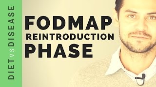 FODMAP Reintroduction Plan and Challenge Phase