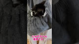 にゃんこ抱っこ用エプロン