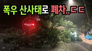 6345회. 자연재해는 보상 받을 길이 없는 걸까요? 흙더미와 큰 나무들과 함께 차가 떠밀려 갔습니다.