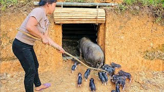 Full video: 165 days of building a farm, building a bridge, and a pig pen in an underground tunnel