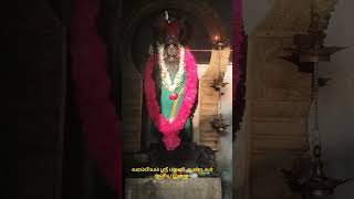 வருடத்திற்கு ஒருமுறை வரம்பி யம் ஸ்ரீ பழனி ஆண்டவர் மீது சூரிய ஒளி விழும் அற்புத நிகழ்வு.