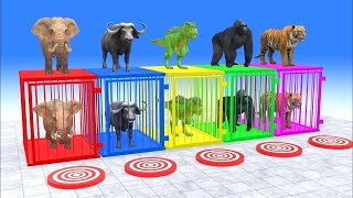 Long Slide Game With Elephant Gorilla Buffalo Hippopotamus Tiger - 3d Animal Gam