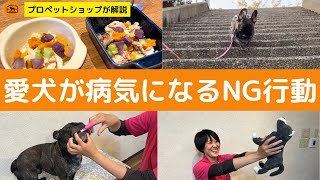 犬を病気にしてしまう『生活習慣』、絶対NG！7つの習慣