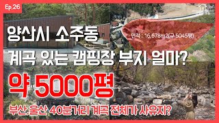 EP.26] 경남 양산시 소주동~! 5000평대 큰 계곡을 품은 캠핑장 부지를 가다~!! (feat지냥 리포터)