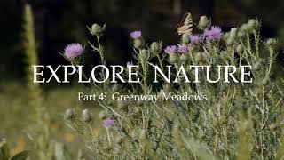 Explore Nature: Greenway Meadows