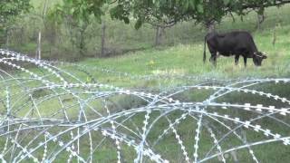 Five Years After Russia-Georgia War, New 'Rural Berlin Walls' Cut Communities