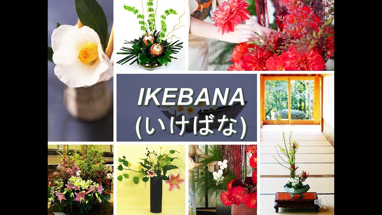 Seni Merangkai Bunga (Ikebana) - YouTube