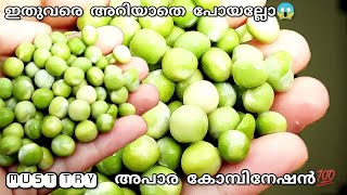 അപാര കോമ്പിനേഷൻ😋രാവിലെ ഇനി എന്തെളുപ്പം😱Easy GreenPeas Curry💯 Simple ഗ്രീൻപീസ് കറി | Greenpeas Curry