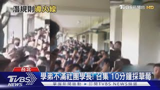 成功高中「群聚咆哮」 躁動主因:學長學弟制太嚴苛?!｜TVBS新聞