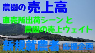 農業って儲かるの⁉️【直売所出荷】シーンと農園の【売上高】について。#農業売上#新規就農