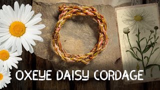 Oxeye Daisy Cordage | Cordage from foraged fibres | Ep 4