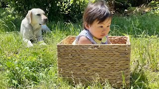 カゴごと出てピクニック気分は上々。長女は出不精。【長女ゴン🐕次女サン🐕三女ユウ👶】