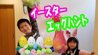 イースターエッグハント[egg hunt]☆うちで過ごそう宝探しお家でやってみよう！全部で何個見つかるかな？