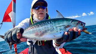 Little Tunny ( False Albacore)  - Kayak fishing at the limit  - Trolling with lures - 4K