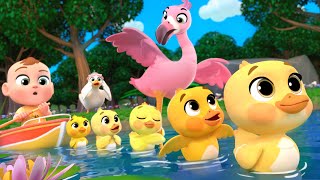 Five Little Ducks with Birds + MORE Lalafun Nursery Rhymes \u0026 Kids Songs