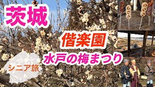 [Kairakuen] Mito Plum Blossom Festival（2024.2.11)