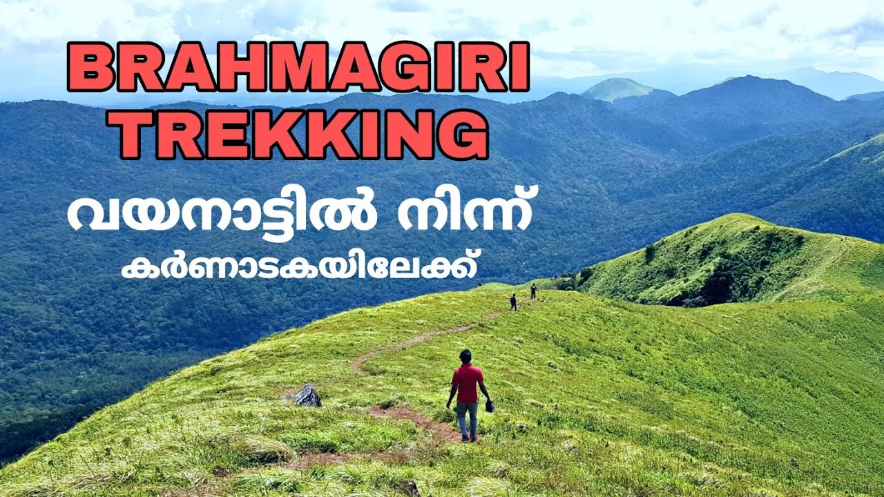 BRAHMAGIRI TREKKING MALAYALAM VLOG 2020 | THIRUNELLI - YouTube