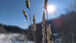 Голубиная поляна - моё сокровенное тихое место