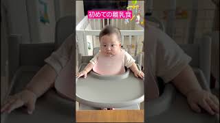 三つ子の初離乳食のリアクションが可愛すぎた#shorts