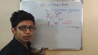 Von willebrand factor