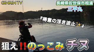 【フカセ釣り】今期、絶不調のっこみチヌ。得意の浮き波止で良型を狙う‼️