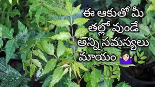 ఈ మూడిటితో మీ తల్లో వున్న అన్ని సమస్యలు మాయం 🌿🌰🥥🤷🏻‍♀️💁,తల  సమస్యలకి పరిష్కారం ఎంటి.