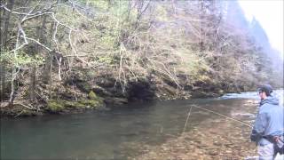 Lustrik Fly fishing  Slovenia dry fly grayling spring 2012