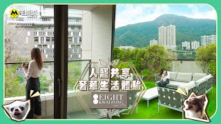 【寵物樓盤】人寵共享奢華生活體驗 EIGHT KWAI FONG Happy Valley｜毛城城 MoCity