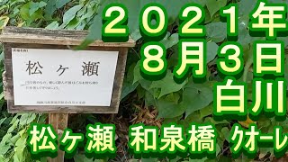 鮎釣り 白川 小澤剛 友釣り無双 2021年