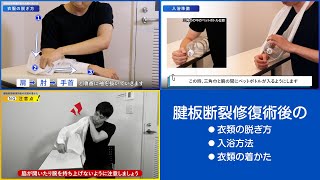 [豊平整形外科 脊椎･関節クリニック様] 腱板断裂修復術後 3タイプ